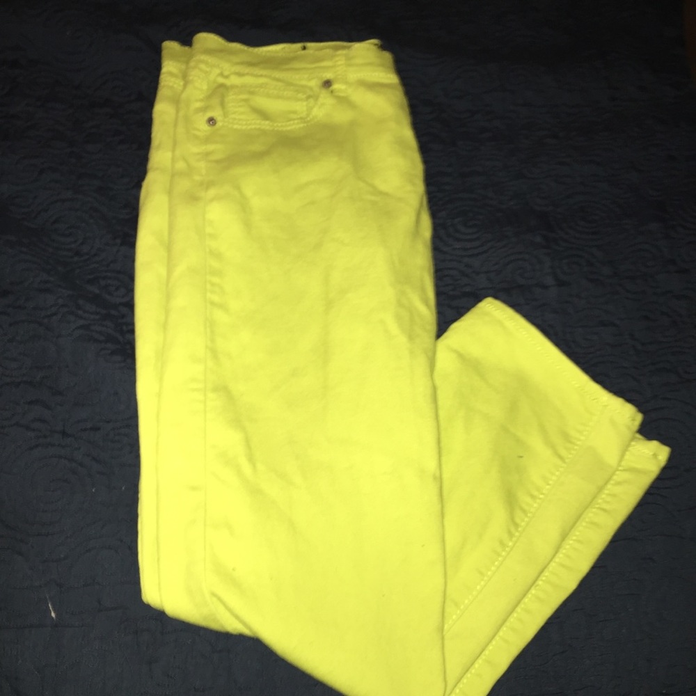 Pant